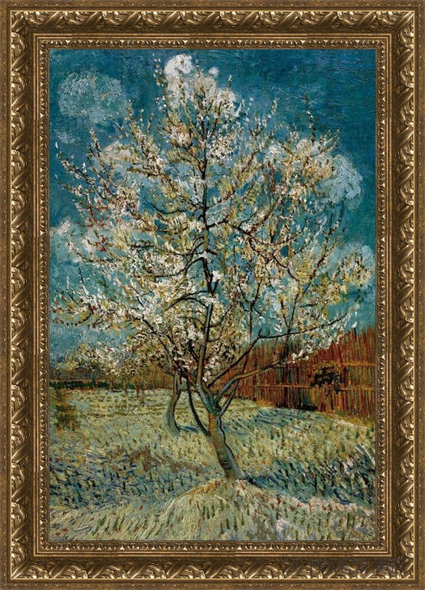 Peach Tree In Blossom Open Edition Print / 20 X 30 Gold 25 3/4 35 Art