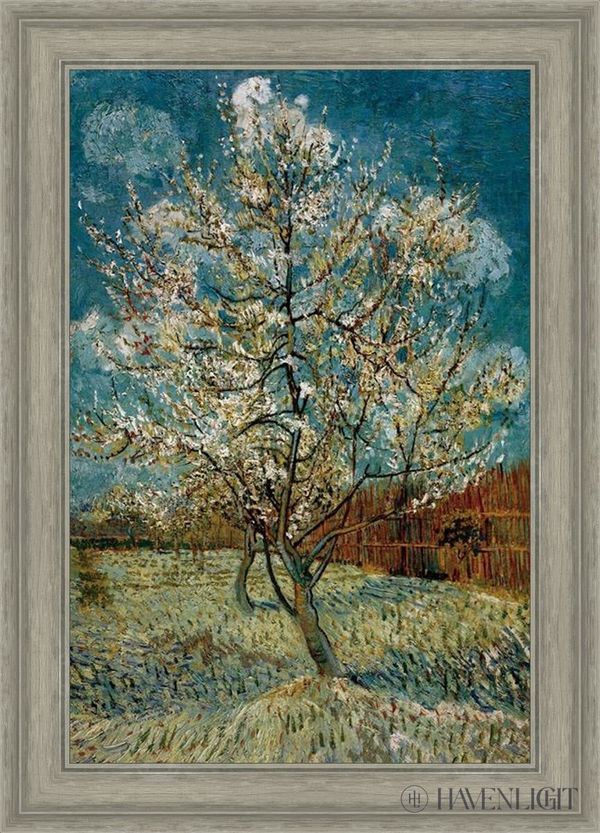 Peach Tree In Blossom Open Edition Print / 20 X 30 Gray 25 3/4 35 Art