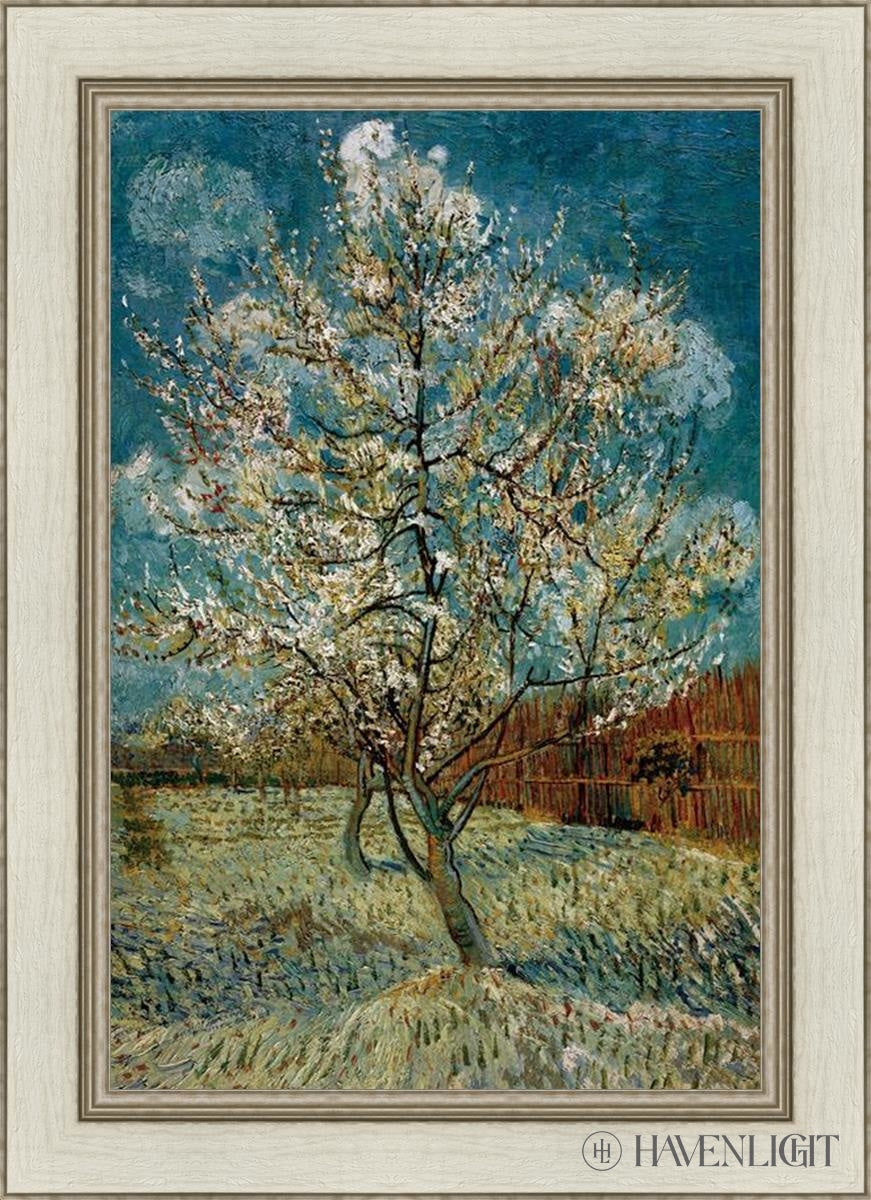 Peach Tree In Blossom Open Edition Print / 20 X 30 Ivory 26 1/2 36 Art