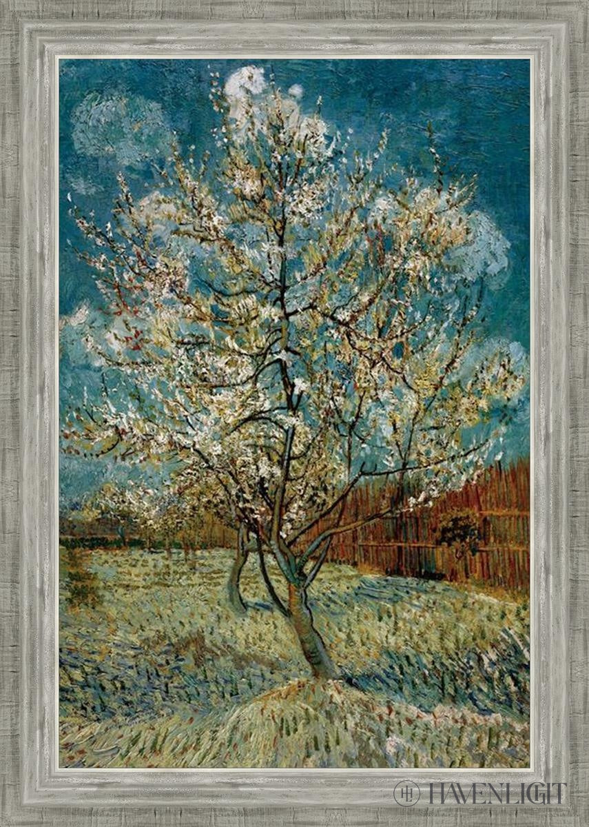 Peach Tree In Blossom Open Edition Print / 20 X 30 Silver 24 3/4 34 Art