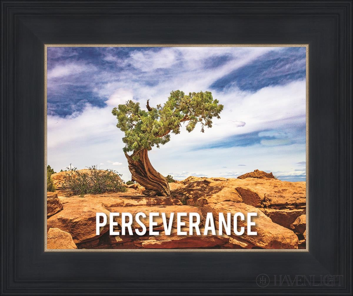 Perseverance Motivisional Poster Open Edition Print / 14 X 11 Black 18 3/4 15 Art