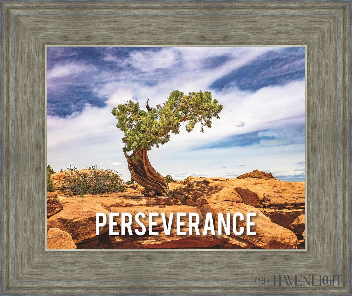 Perseverance Motivisional Poster Open Edition Print / 14 X 11 Gray 18 3/4 15 Art