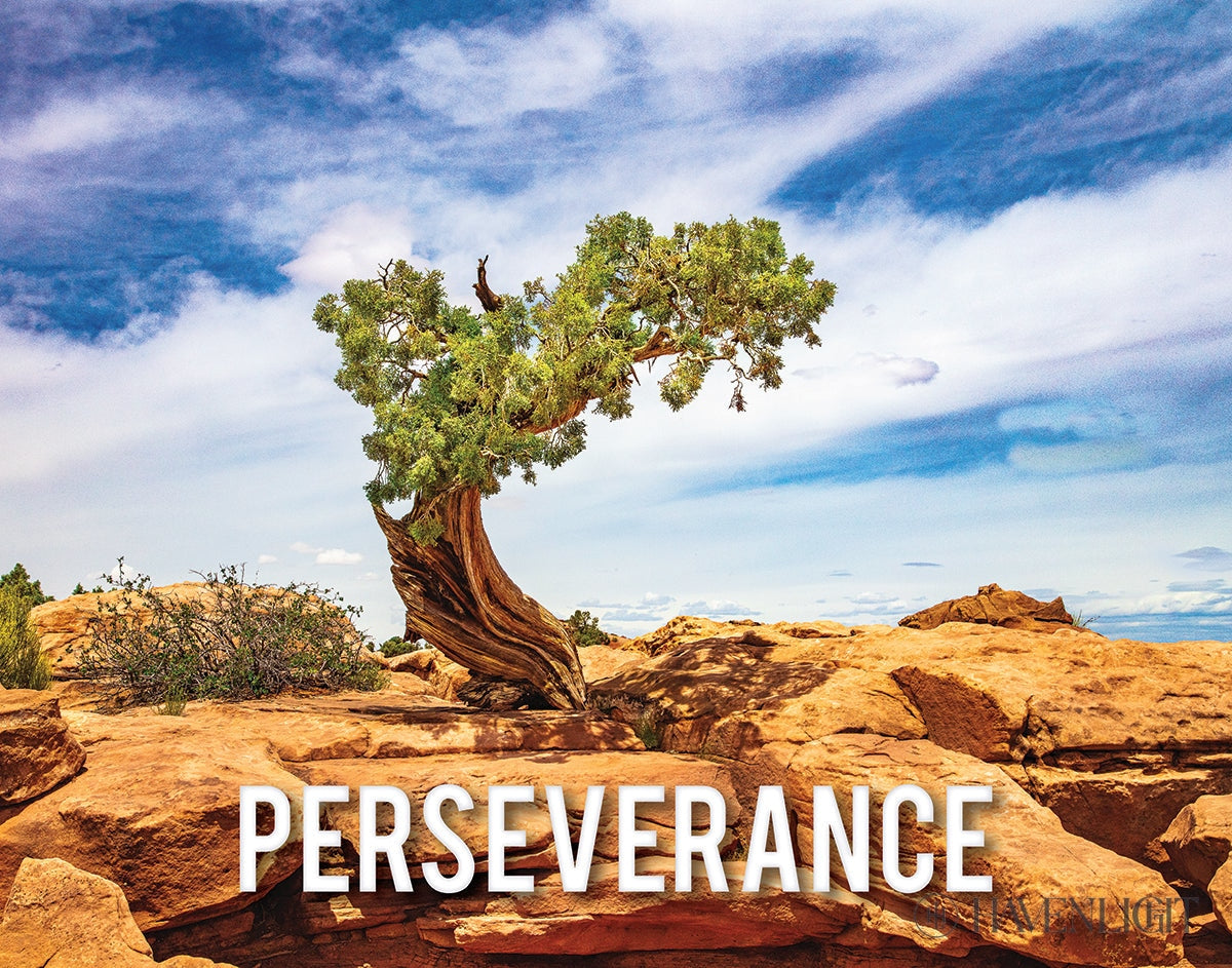 Perseverance Motivisional Poster Open Edition Print / 14 X 11 Only Art