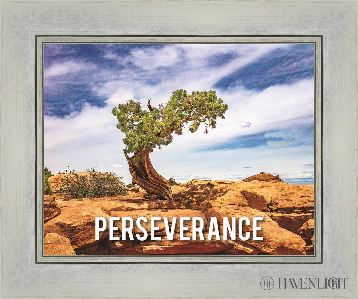 Perseverance Motivisional Poster Open Edition Print / 14 X 11 Silver 18 1/4 15 Art