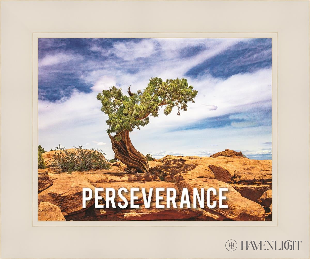 Perseverance Motivisional Poster Open Edition Print / 14 X 11 White 18 1/4 15 Art