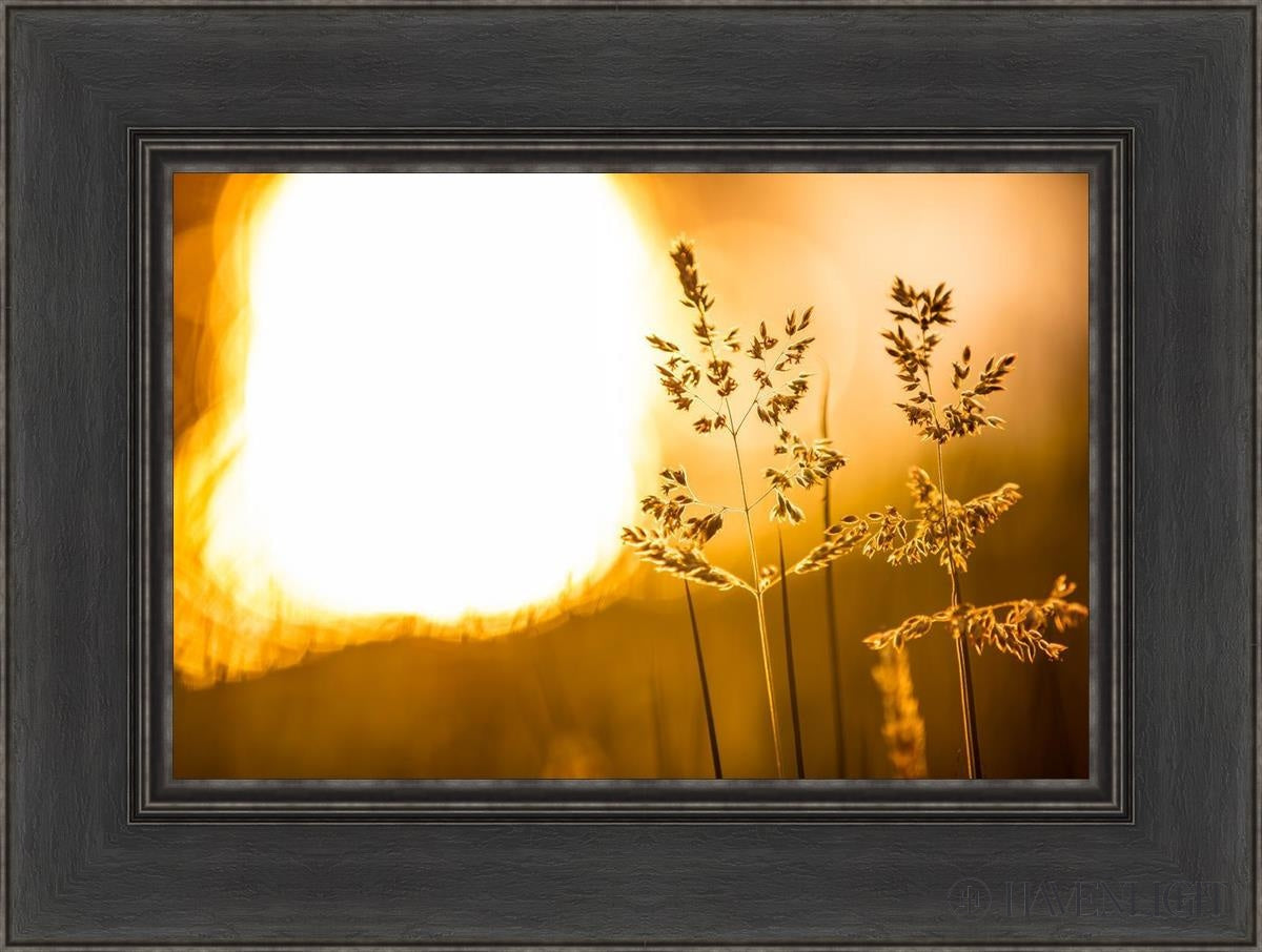Plate 3 - Spring Brook Grasses Open Edition Canvas / 18 X 12 Black 24 1/2 Art