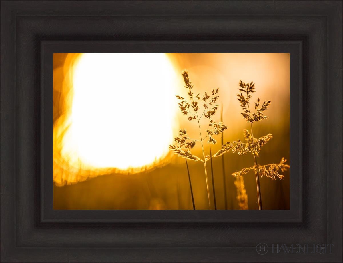 Plate 3 - Spring Brook Grasses Open Edition Canvas / 18 X 12 Brown 25 3/4 19 Art