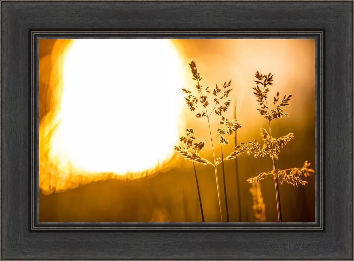 Plate 3 - Spring Brook Grasses Open Edition Canvas / 24 X 16 Black 30 1/2 22 Art