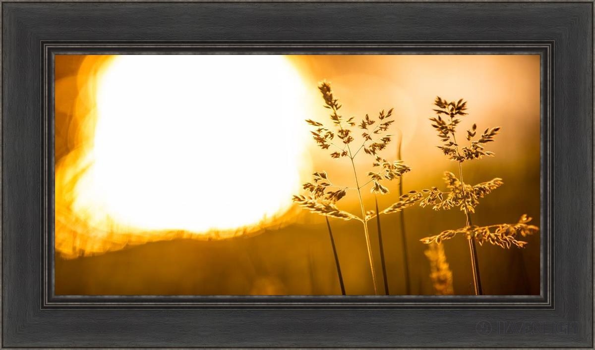 Plate 3 - Spring Brook Grasses Open Edition Canvas / 30 X 15 Black 36 1/2 21 Art