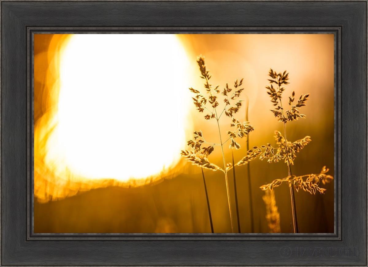 Plate 3 - Spring Brook Grasses Open Edition Canvas / 30 X 20 Black 36 1/2 26 Art