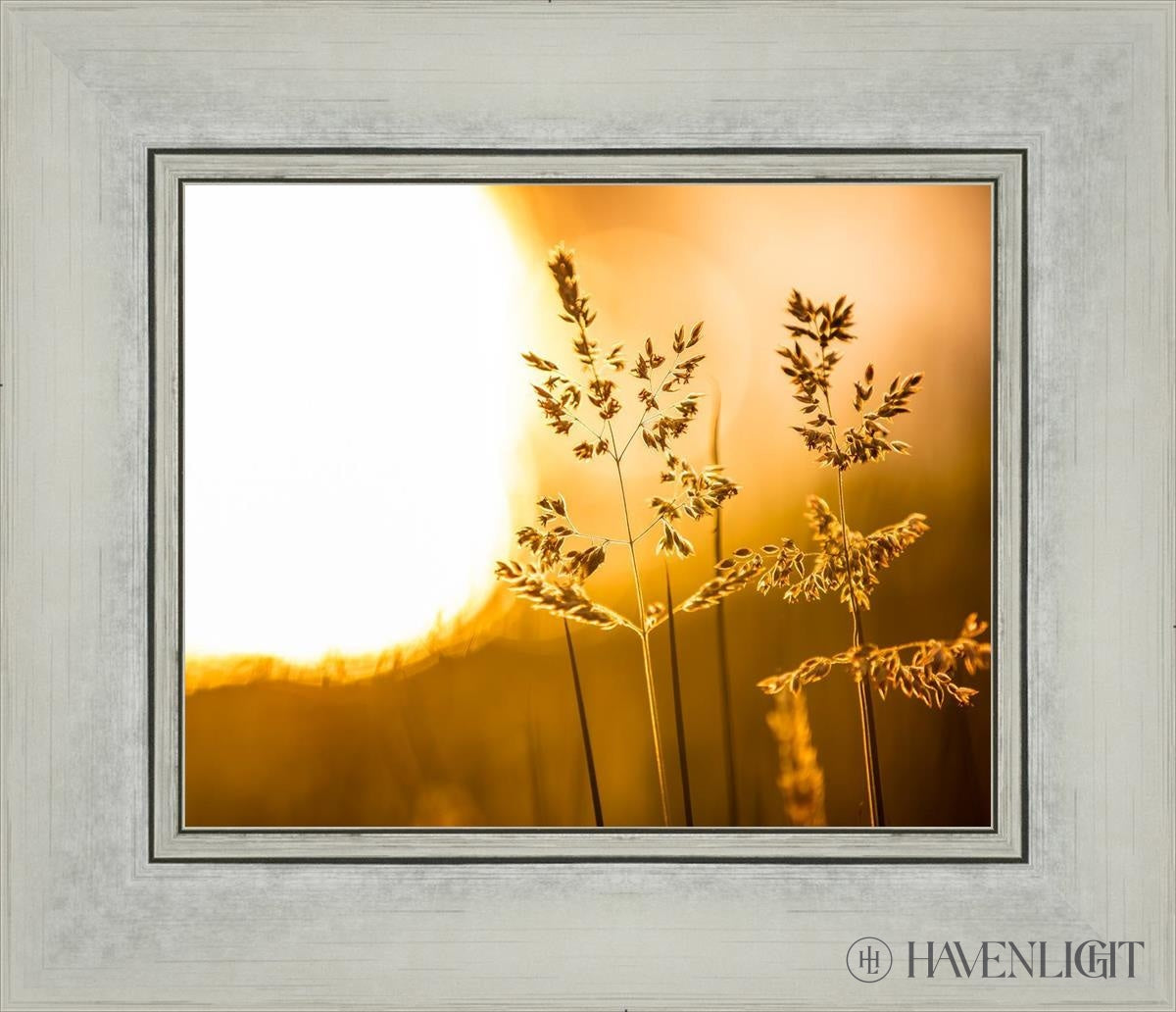 Plate 3 - Spring Brook Grasses Open Edition Print / 10 X 8 Silver 14 1/4 12 Art