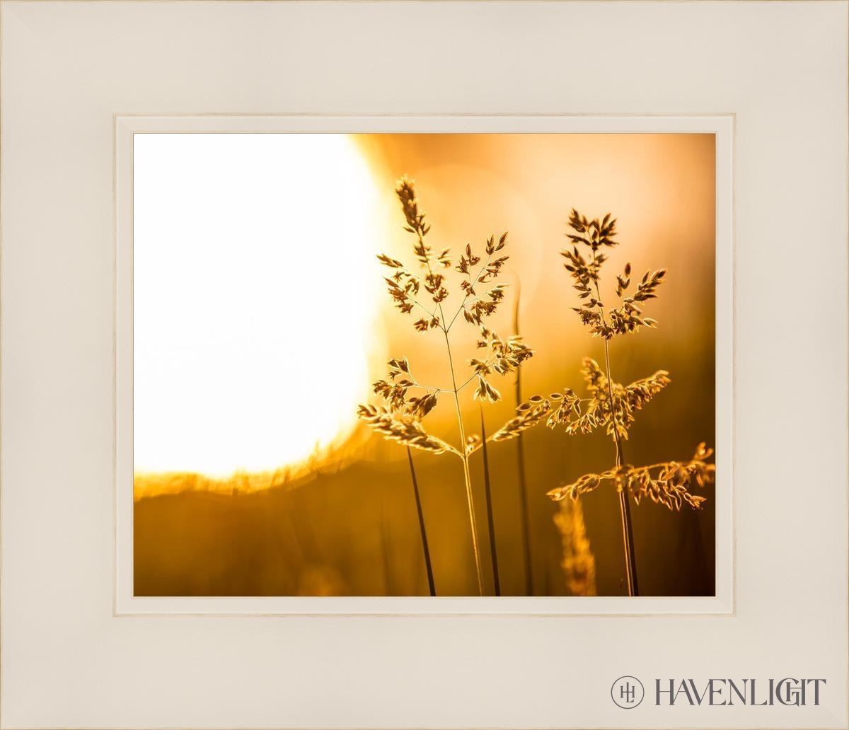 Plate 3 - Spring Brook Grasses Open Edition Print / 10 X 8 White 14 1/4 12 Art