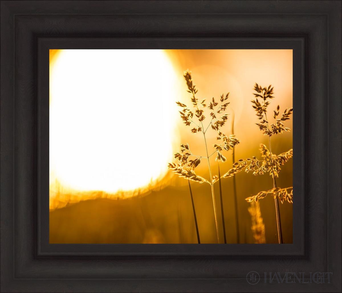 Plate 3 - Spring Brook Grasses Open Edition Print / 20 X 16 Brown 27 3/4 23 Art