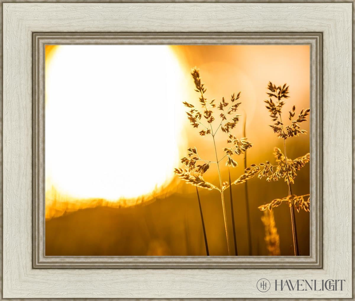 Plate 3 - Spring Brook Grasses Open Edition Print / 20 X 16 Ivory 26 1/2 22 Art