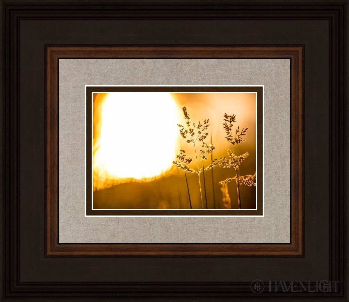 Plate 3 - Spring Brook Grasses Open Edition Print / 7 X 5 Brown 14 3/4 12 Art