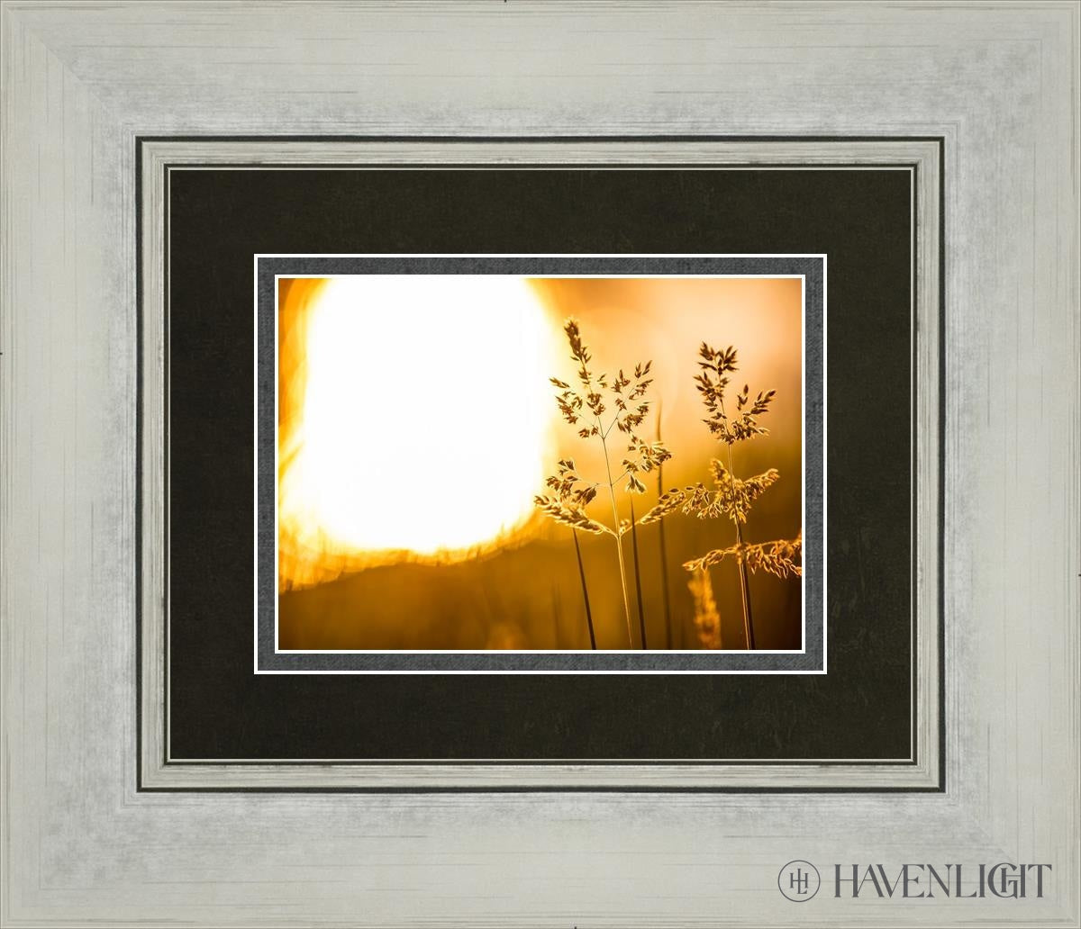 Plate 3 - Spring Brook Grasses Open Edition Print / 7 X 5 Silver 14 1/4 12 Art