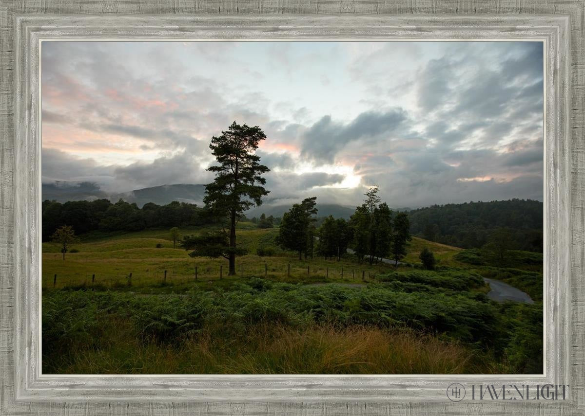Plate 3 - Tarn Hows Above Ambleside Open Edition Canvas / 30 X 20 Silver 34 3/4 24 Art