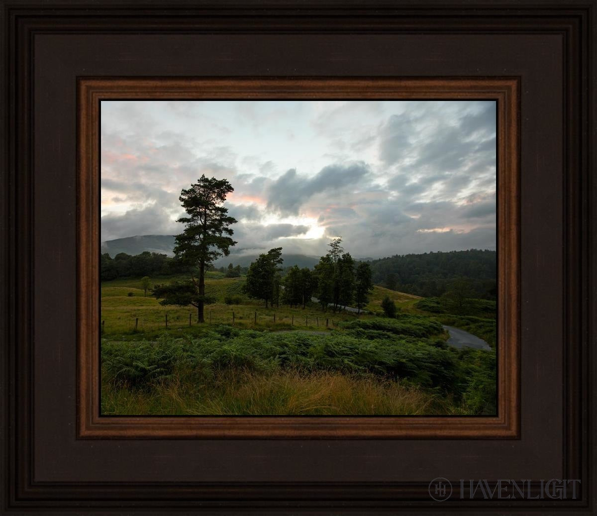 Plate 3 - Tarn Hows Above Ambleside Open Edition Print / 10 X 8 Brown 14 3/4 12 Art