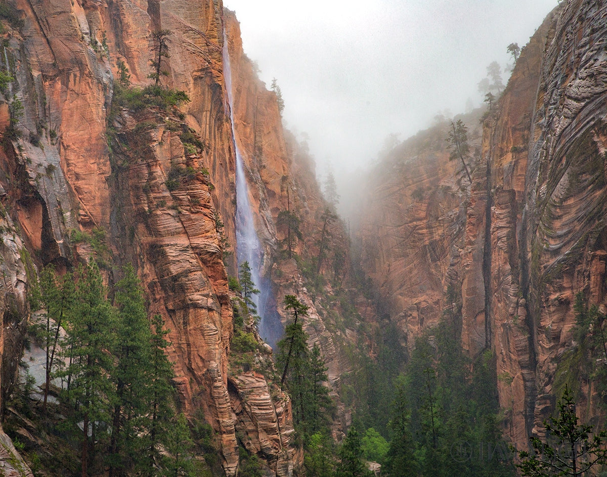 Refrigerator Canyon Waterfall Zion National Park Utah Open Edition Print / 14 X 11 Only Art