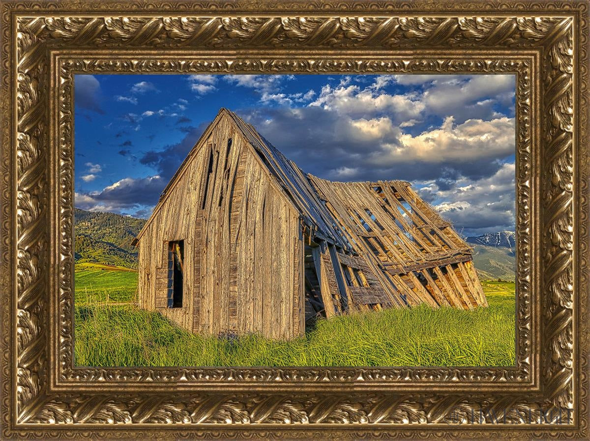 Rustic Barn Near Tetons Wyoming Open Edition Canvas / 18 X 12 Gold 23 3/4 17 Art