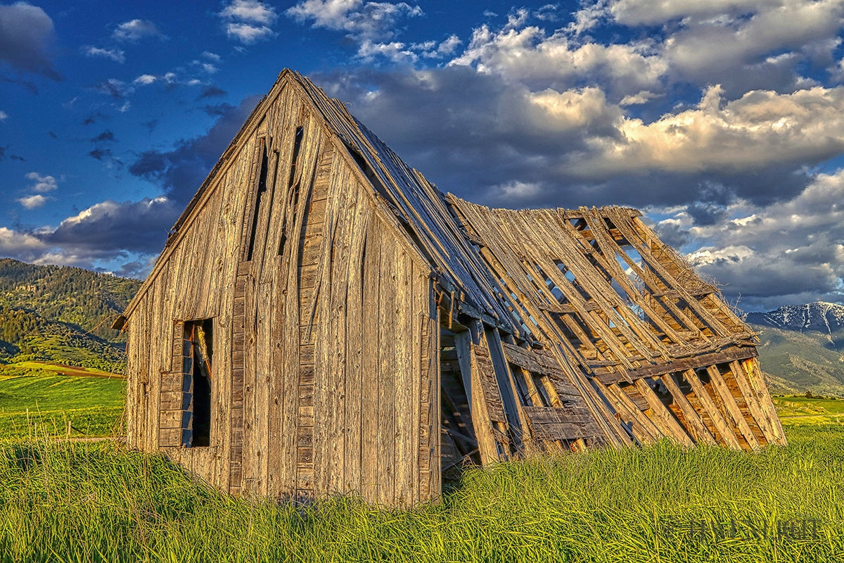 Rustic Barn Near Tetons Wyoming Open Edition Canvas / 18 X 12 Rolled In Tube Art
