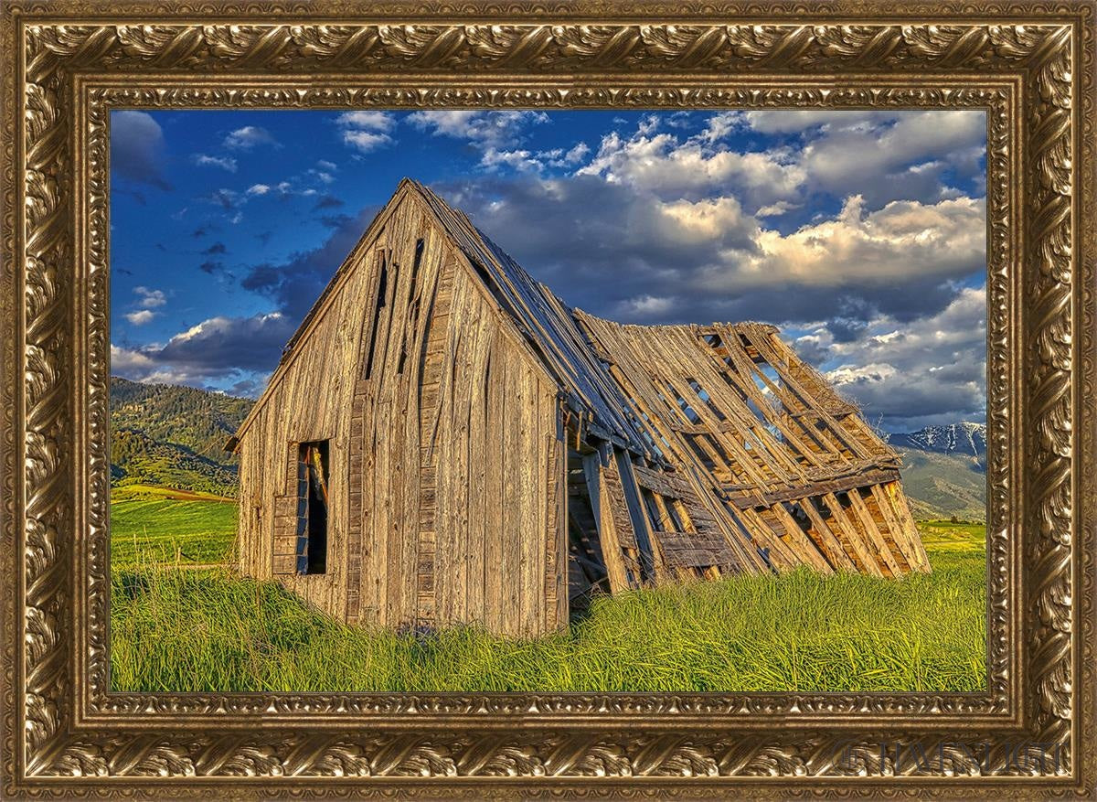 Rustic Barn Near Tetons Wyoming Open Edition Canvas / 24 X 16 Gold 29 3/4 21 Art