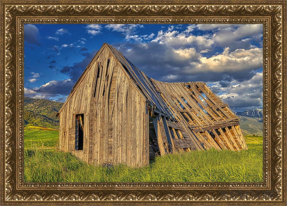 Rustic Barn Near Tetons Wyoming Open Edition Canvas / 30 X 20 Gold 35 3/4 25 Art