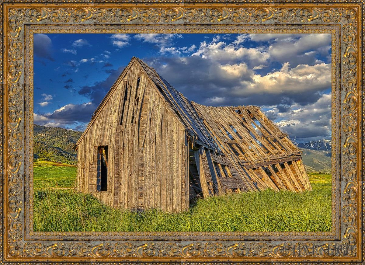 Rustic Barn Near Tetons Wyoming Open Edition Canvas / 36 X 24 Gold 43 3/4 31 Art