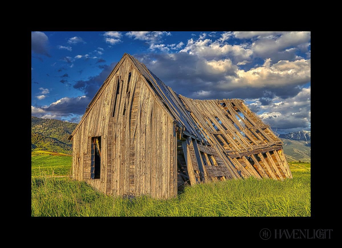 Rustic Barn Near Tetons Wyoming Open Edition Canvas / 36 X 24 Gray 43 3/4 31 Art