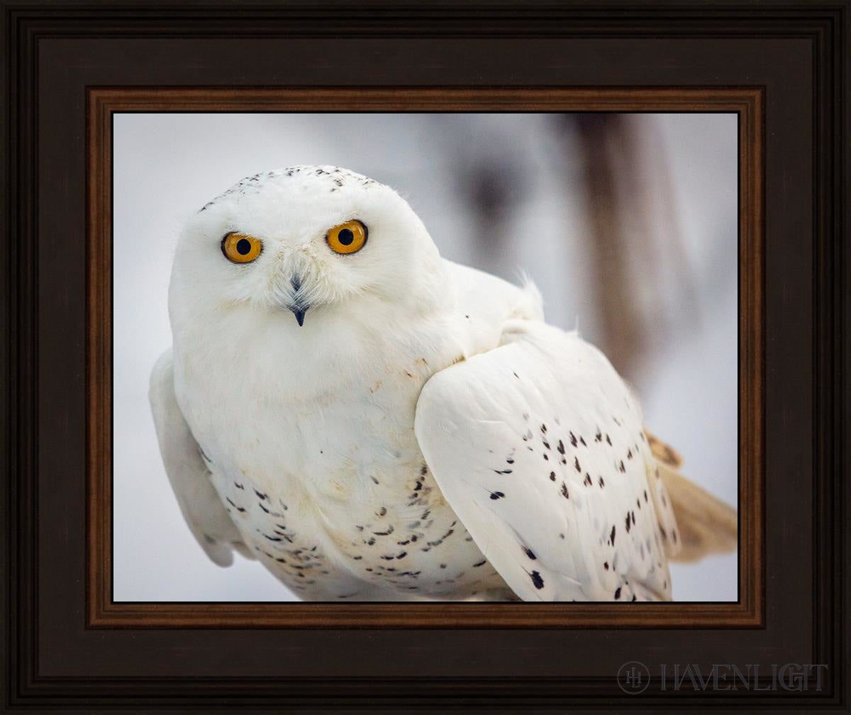 Snowy Owl Haines Alaska Open Edition Print / 14 X 11 Brown 18 3/4 15 Art