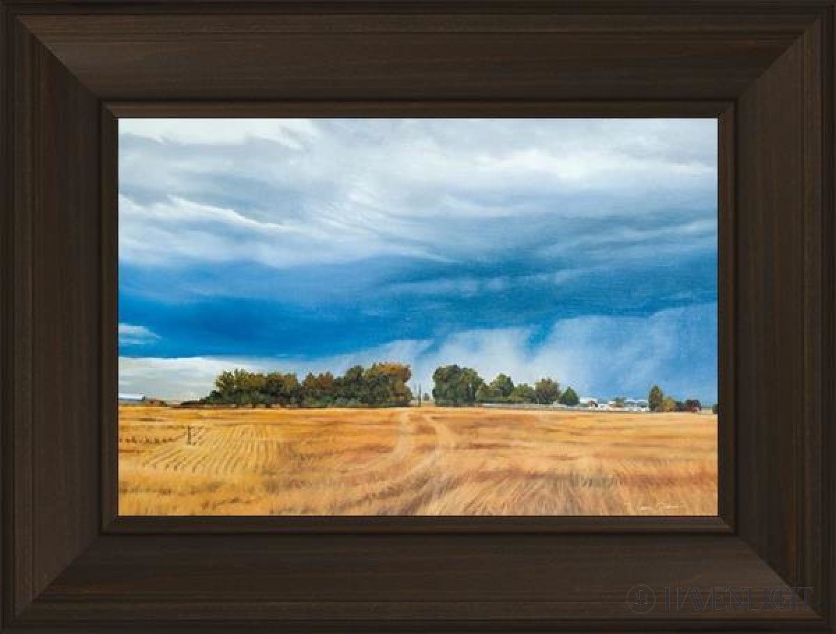 Stormy Skies Open Edition Canvas / 18 X 12 Frame B 3/4 24 Art