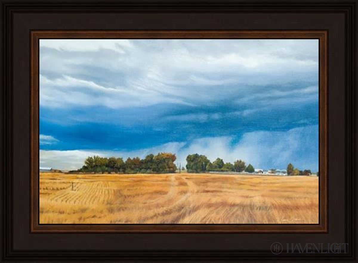 Stormy Skies Open Edition Canvas / 18 X 12 Frame N 16 3/4 22 Art