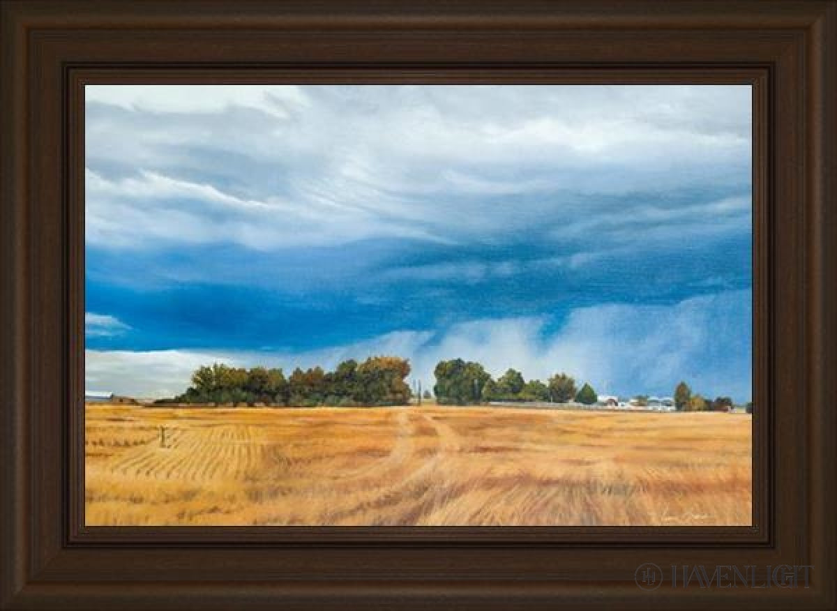 Stormy Skies Open Edition Canvas / 18 X 12 Frame S 16 1/4 22 Art