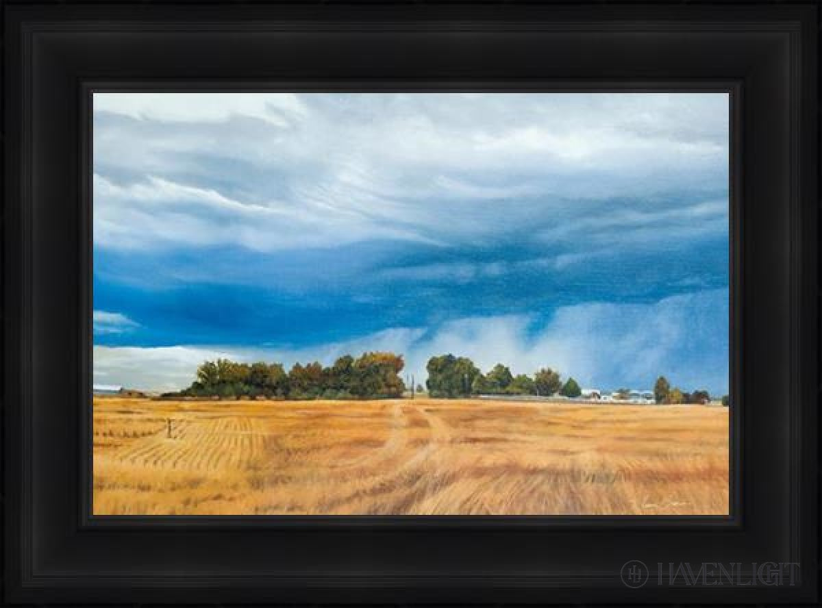 Stormy Skies Open Edition Canvas / 24 X 16 Frame A 22 3/4 30 Art
