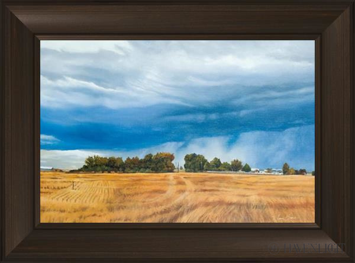 Stormy Skies Open Edition Canvas / 24 X 16 Frame B 22 3/4 30 Art