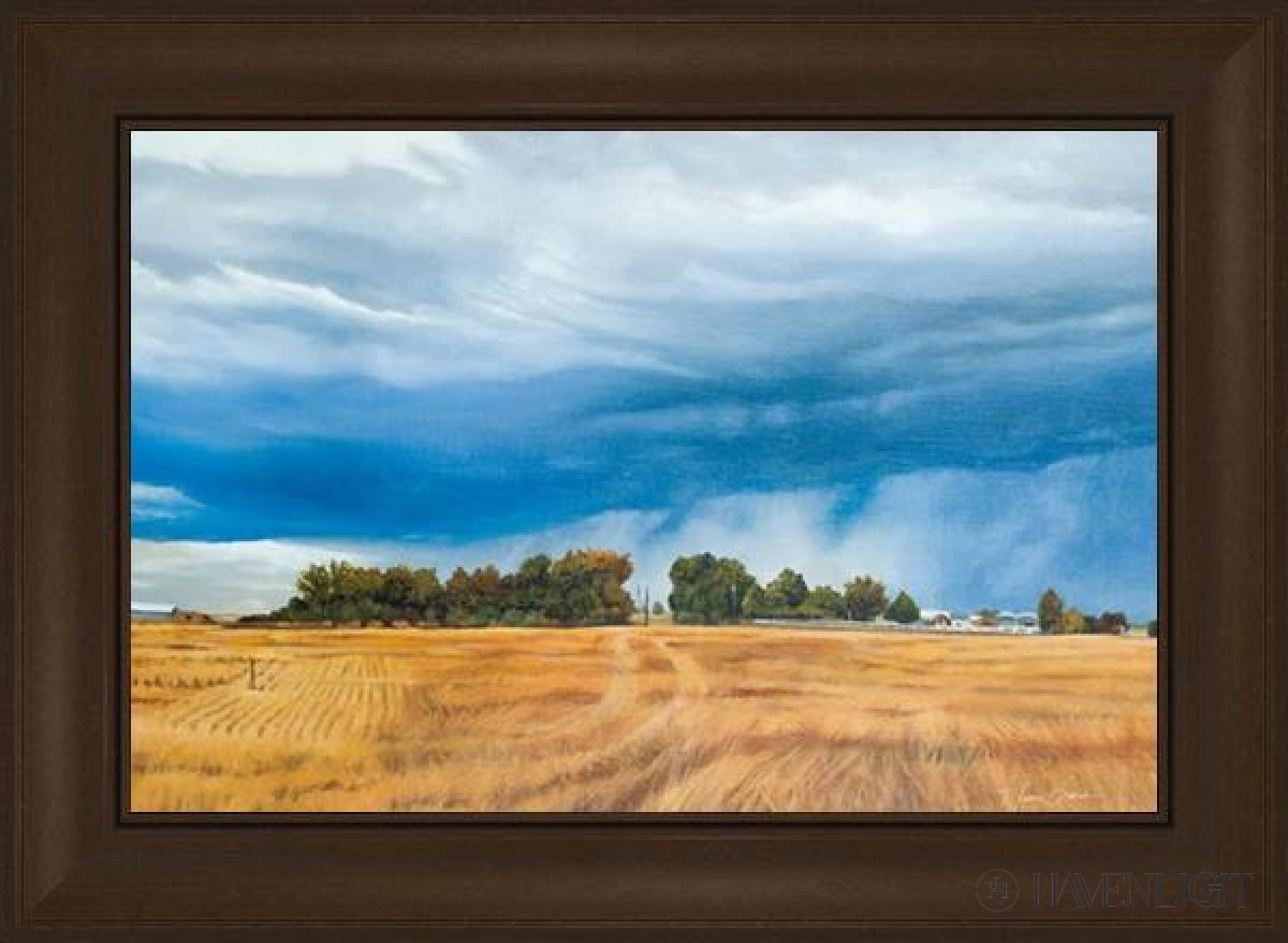 Stormy Skies Open Edition Canvas / 24 X 16 Frame C 21 3/4 29 Art