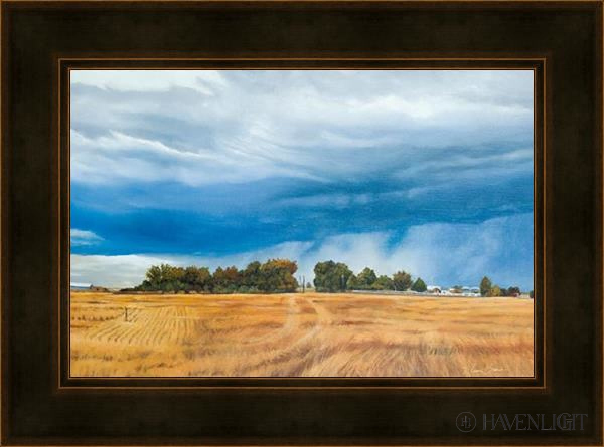 Stormy Skies Open Edition Canvas / 24 X 16 Frame D 23 31 Art