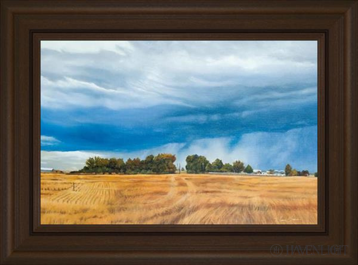 Stormy Skies Open Edition Canvas / 24 X 16 Frame E 22 3/4 30 Art