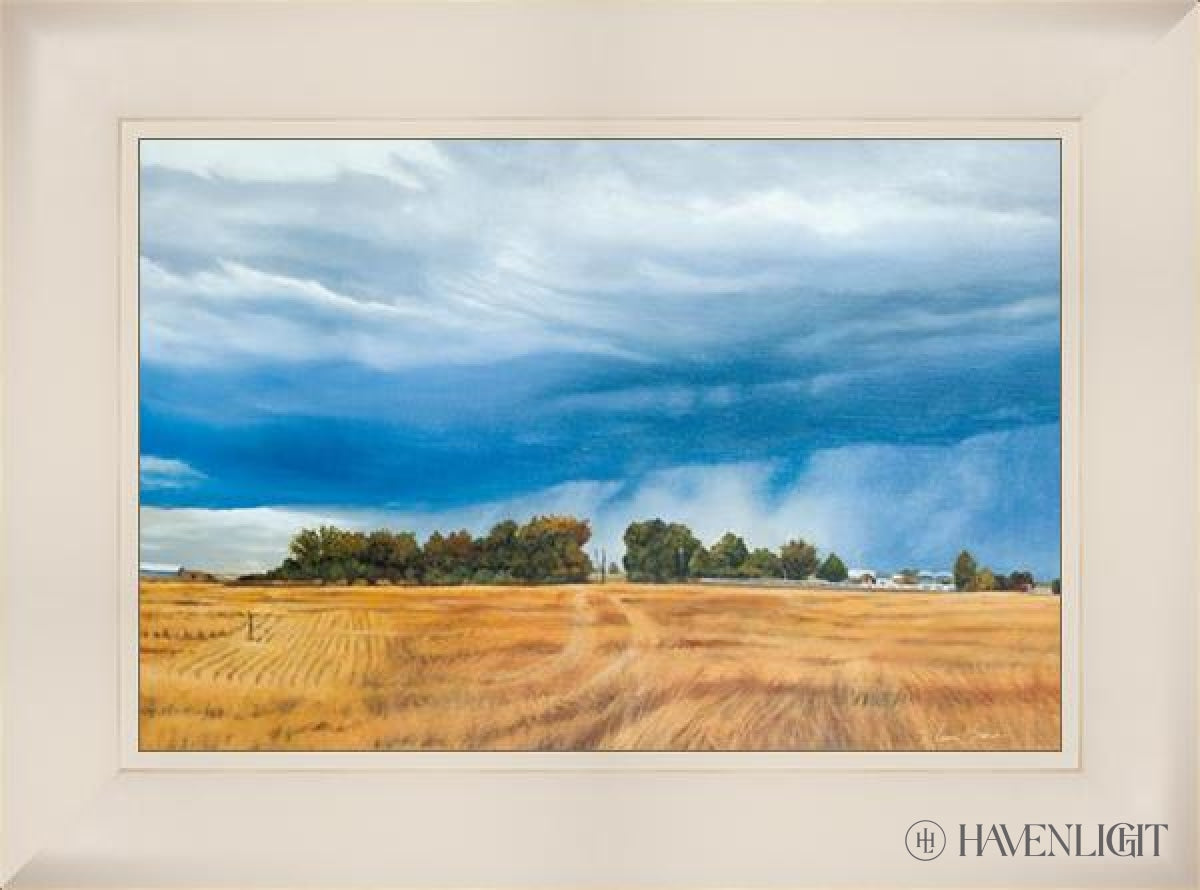 Stormy Skies Open Edition Canvas / 24 X 16 Frame L 23 31 Art