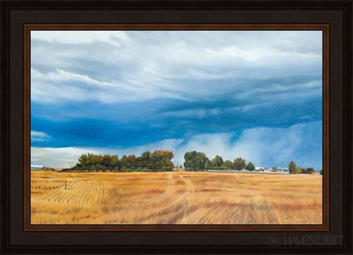 Stormy Skies Open Edition Canvas / 24 X 16 Frame N 20 3/4 28 Art