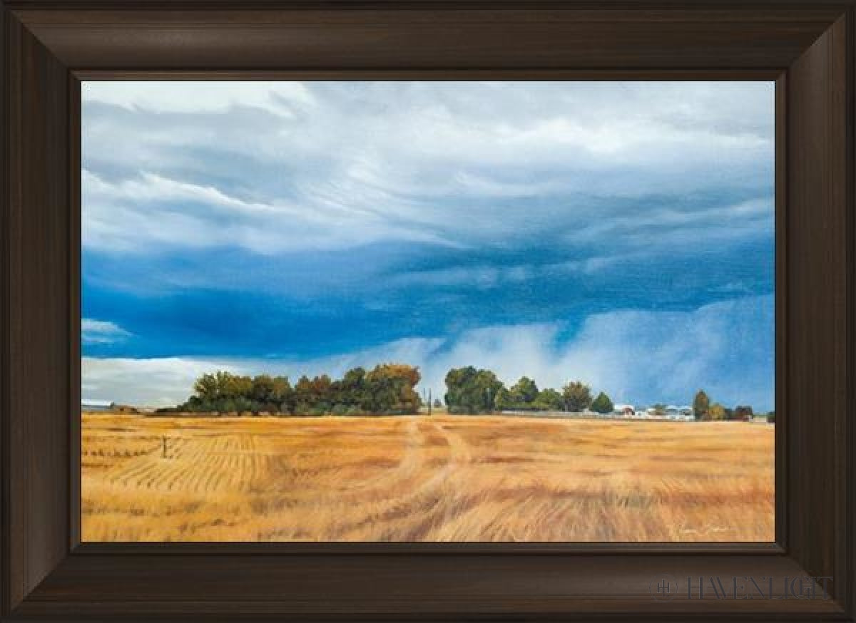 Stormy Skies Open Edition Canvas / 30 X 20 Frame B 26 3/4 36 Art