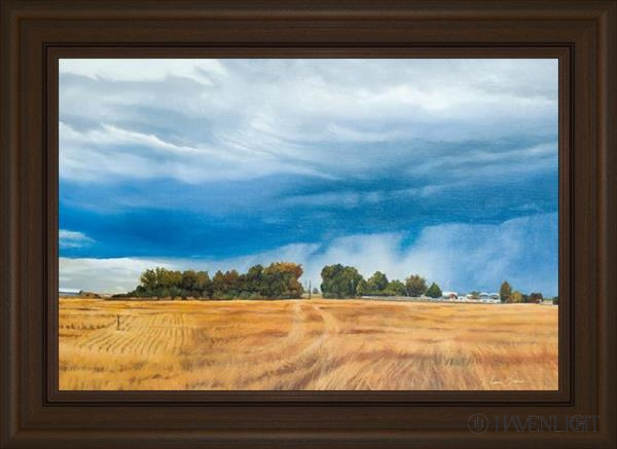 Stormy Skies Open Edition Canvas / 30 X 20 Frame E 26 3/4 36 Art
