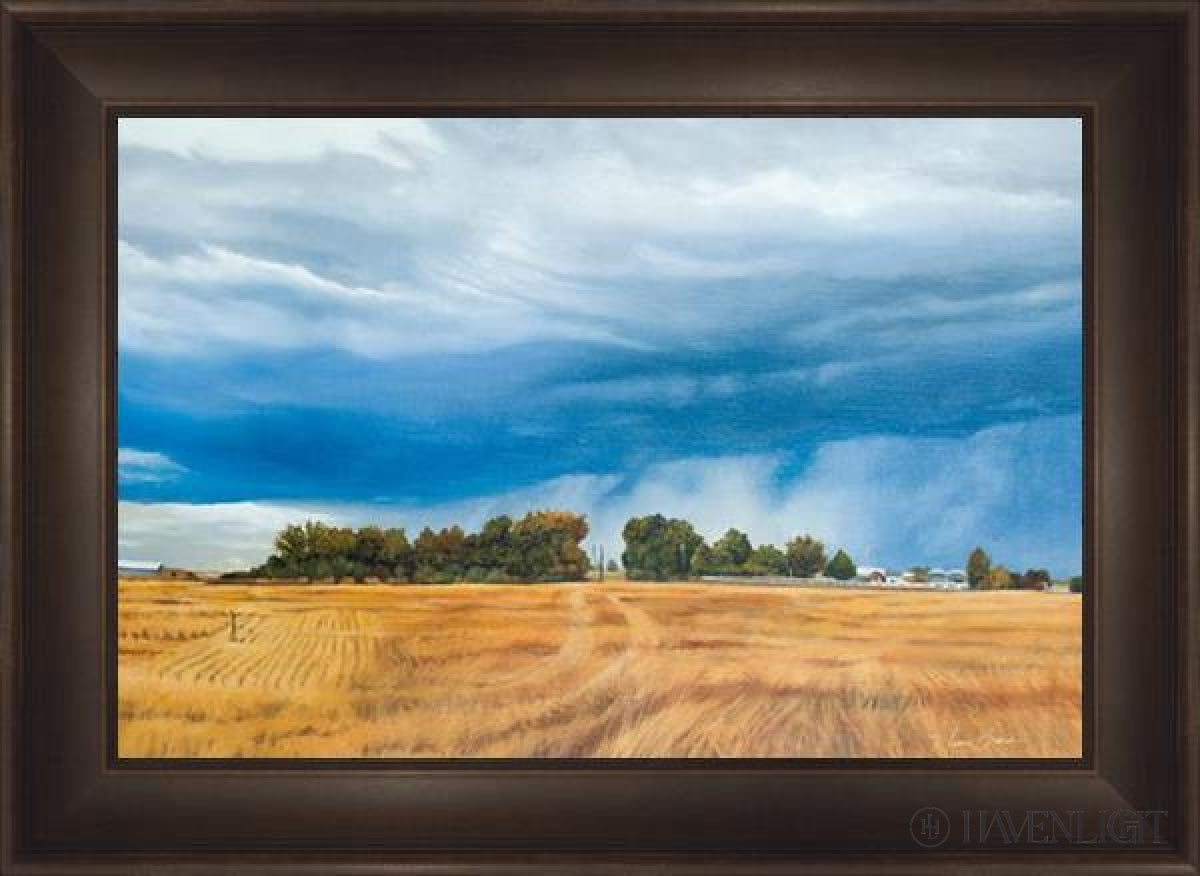 Stormy Skies Open Edition Canvas / 36 X 24 Frame B 32 1/2 44 Art