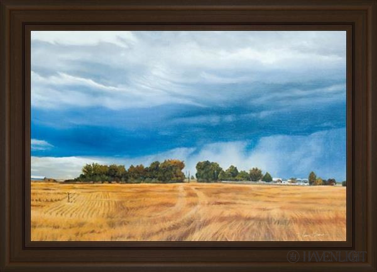 Stormy Skies Open Edition Canvas / 36 X 24 Frame E 30 3/4 42 Art