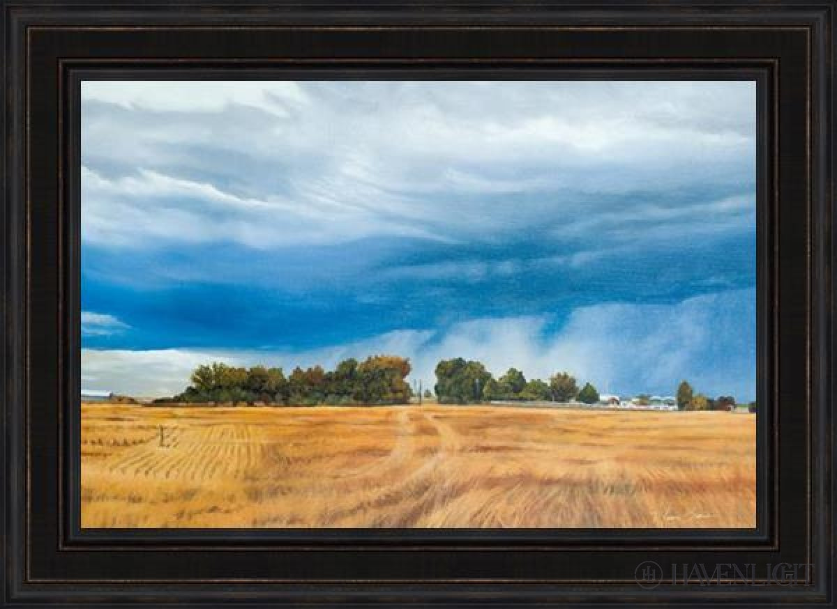 Stormy Skies Open Edition Canvas / 36 X 24 Frame L 32 1/4 44 Art
