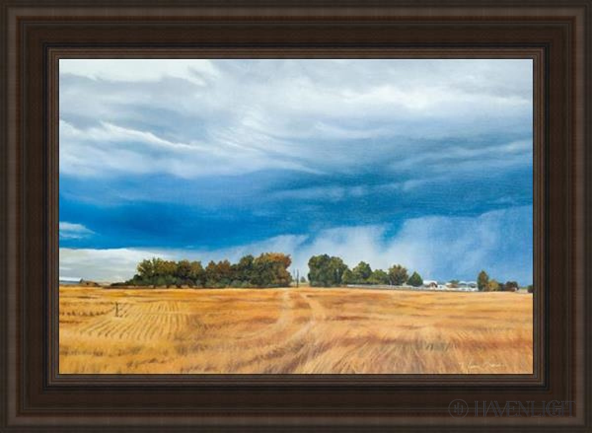Stormy Skies Open Edition Canvas / 36 X 24 Frame R 32 3/4 44 Art
