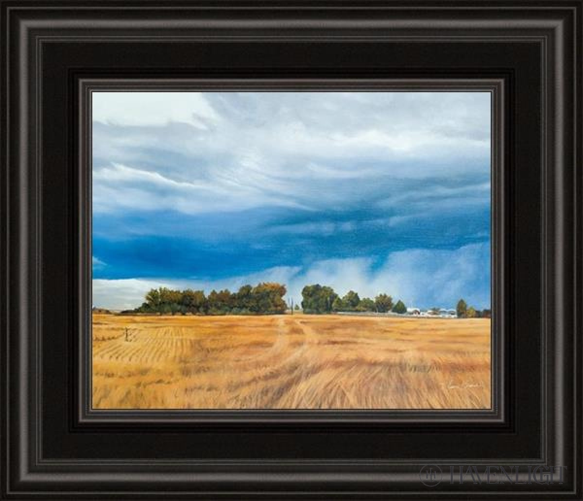 Stormy Skies Open Edition Print / 10 X 8 Frame C 12 1/4 14 Art