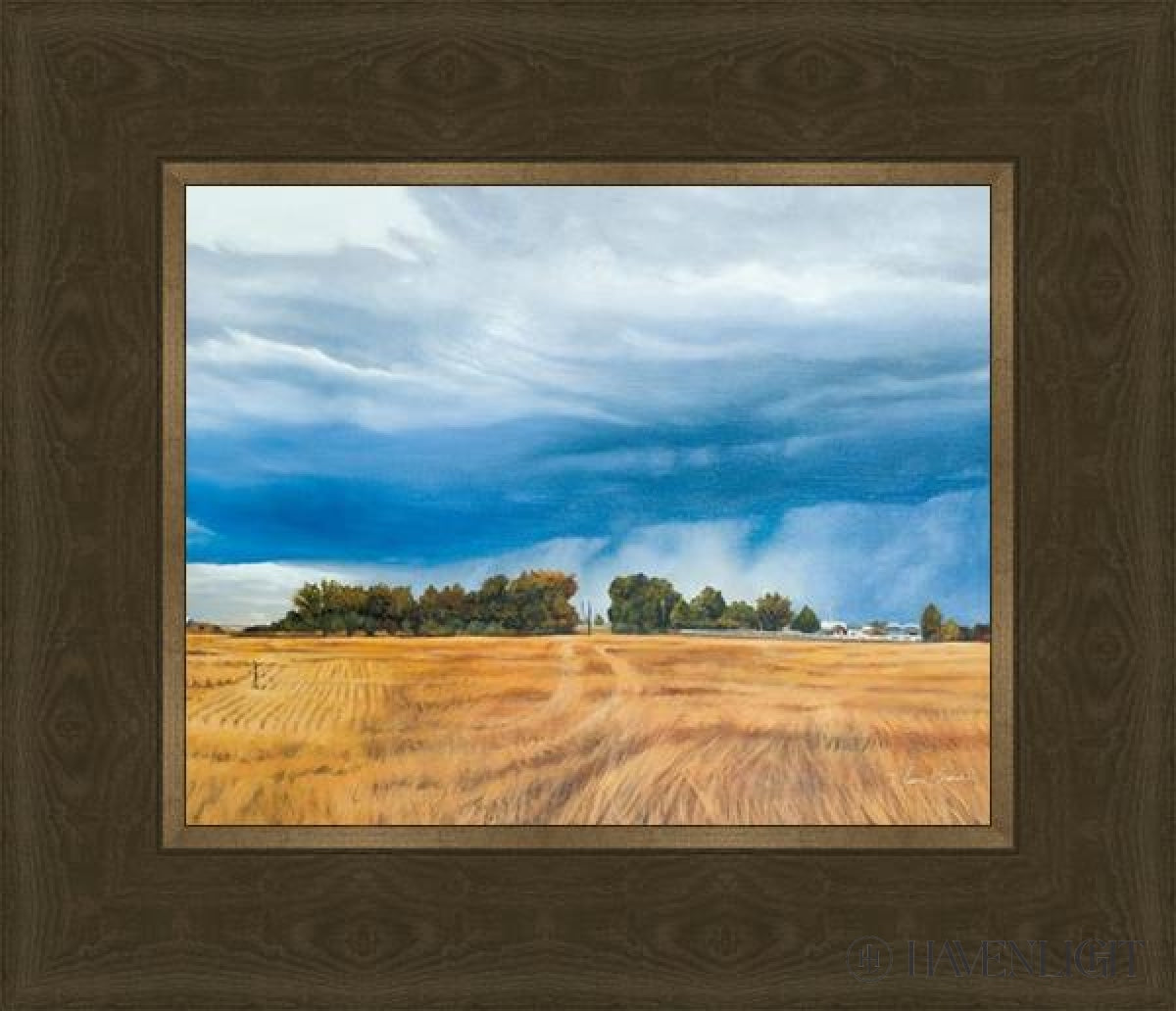 Stormy Skies Open Edition Print / 10 X 8 Frame G 12 1/4 14 Art