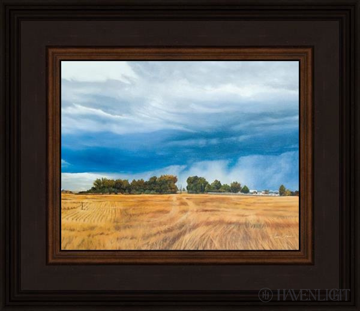 Stormy Skies Open Edition Print / 10 X 8 Frame N 12 3/4 14 Art
