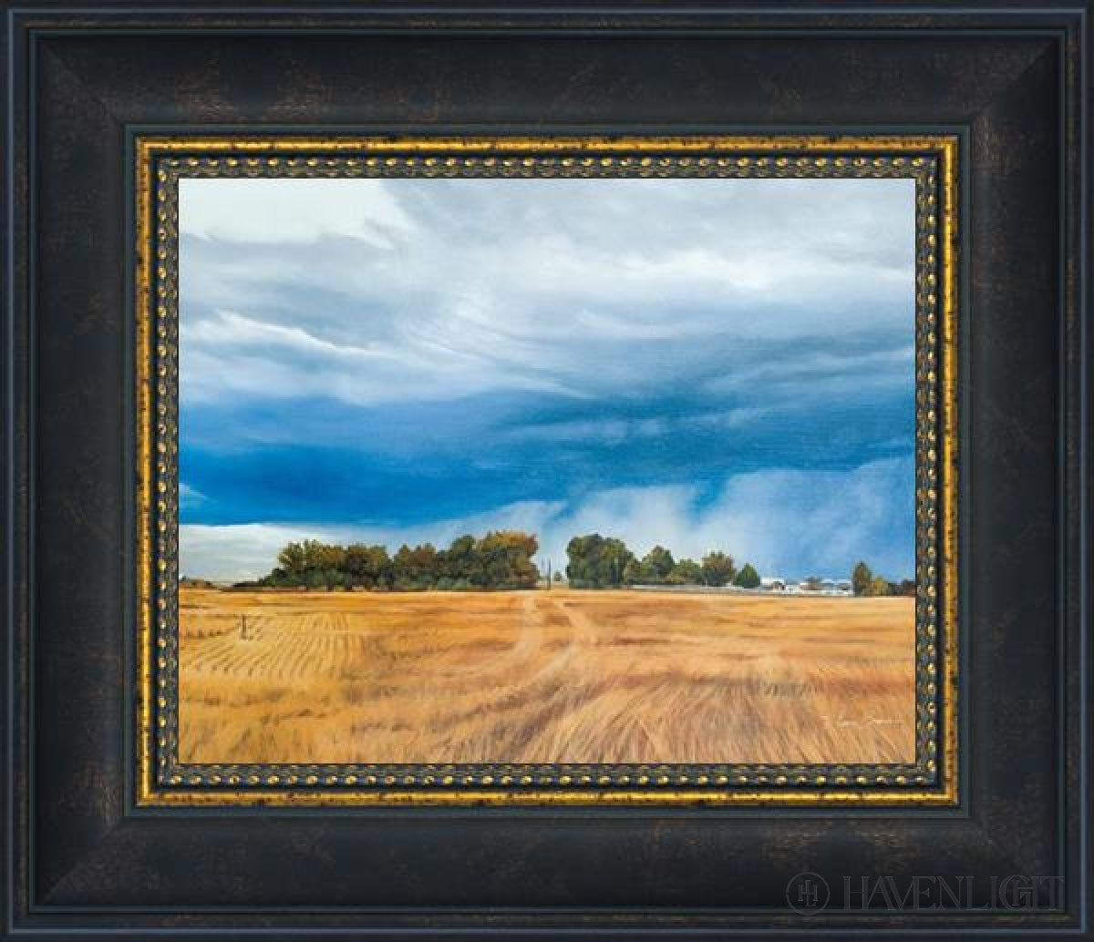 Stormy Skies Open Edition Print / 10 X 8 Frame W 12 1/2 14 Art